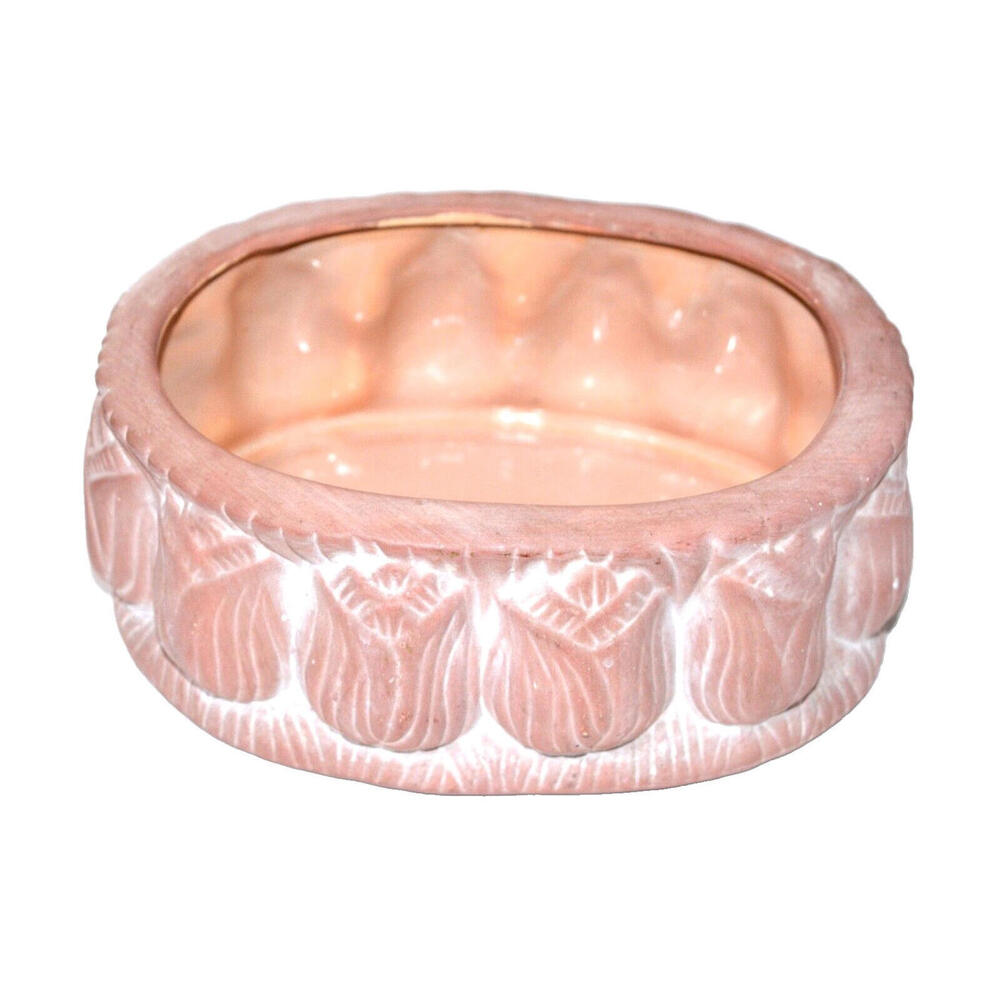 NEW Vintage Bloom Rite Brand Oval Bulb Planter Tulip Flower Pot